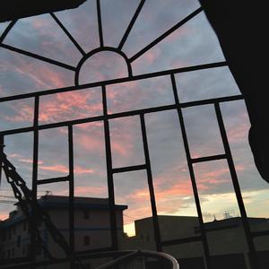 日本免费激情小电影
